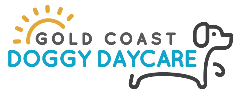 Gold Coast Doggy Daycare